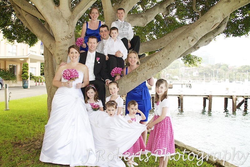 Bridal party in a tree outside Harbourside Apartments Blues Point - wedding photography sydney